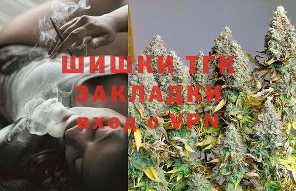 крисы Алексин
