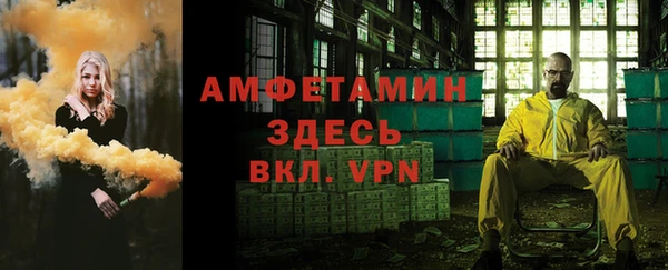 крисы Алексин