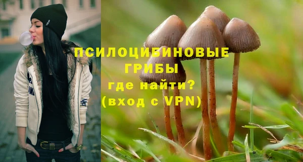 кокаин премиум Алексеевка