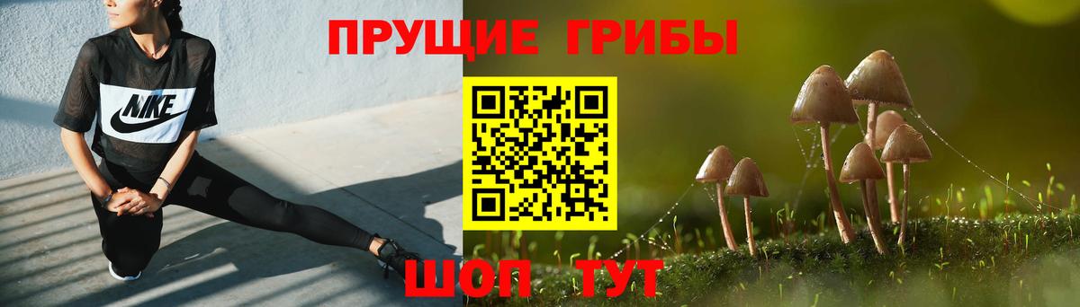 Лобня  Псилоцибиновые грибы Psilocybe  Вход с VPN  Галлюциногенные грибы мицелий 